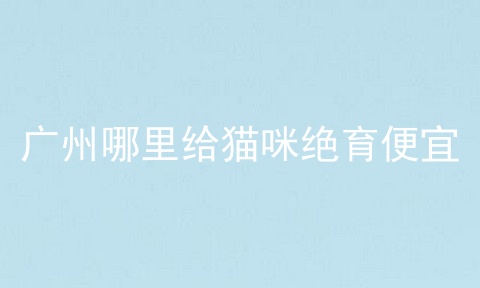 广州哪里给猫咪绝育便宜