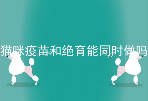 猫咪疫苗和绝育能同时做吗