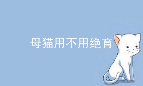 母猫用不用绝育