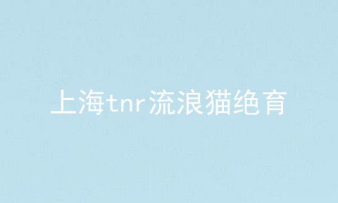 上海tnr流浪猫绝育