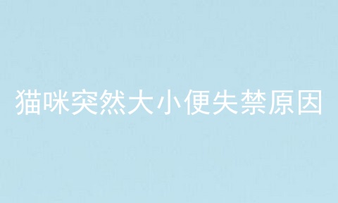 猫咪突然大小便失禁原因