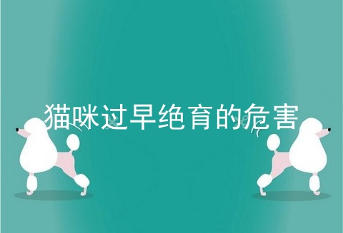 猫咪过早绝育的危害