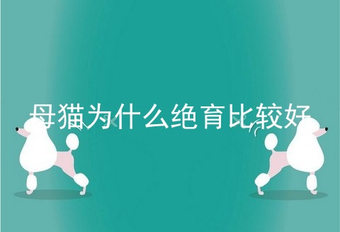 母猫为什么绝育比较好
