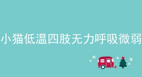 小猫低温四肢无力呼吸微弱