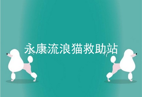 永康流浪猫救助站