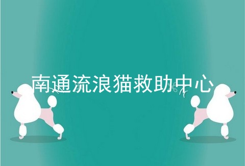 南通流浪猫救助中心