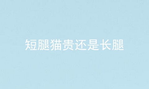 短腿猫贵还是长腿