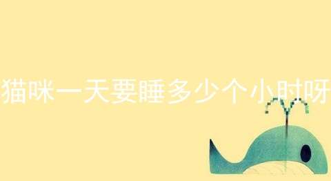猫咪一天要睡多少个小时呀