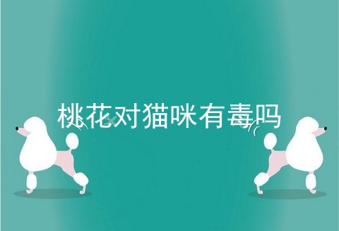 桃花对猫咪有毒吗
