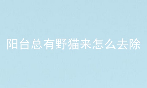 阳台总有野猫来怎么去除