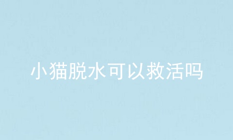 小猫脱水可以救活吗
