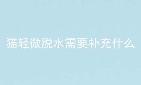 猫轻微脱水需要补充什么