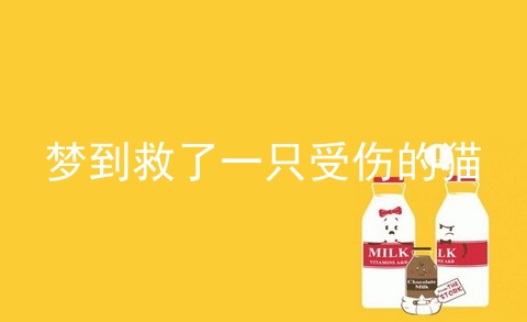 梦到救了一只受伤的猫