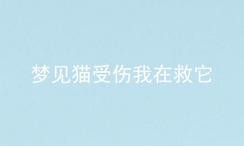 梦见猫受伤我在救它