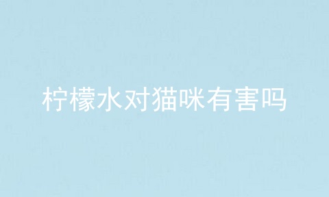 柠檬水对猫咪有害吗
