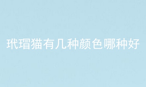 玳瑁猫有几种颜色哪种好