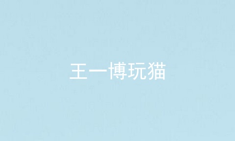 王一博玩猫