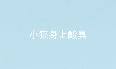小猫身上酸臭