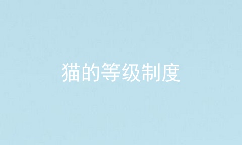 猫的等级制度