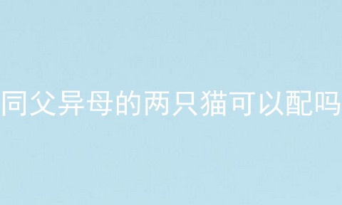 同父异母的两只猫可以配吗