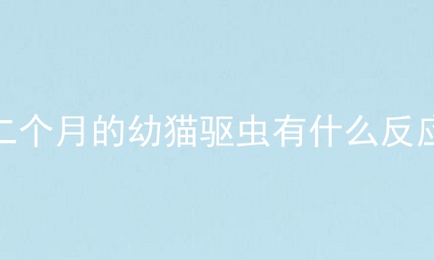二个月的幼猫驱虫有什么反应