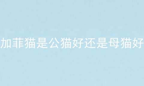 加菲猫是公猫好还是母猫好