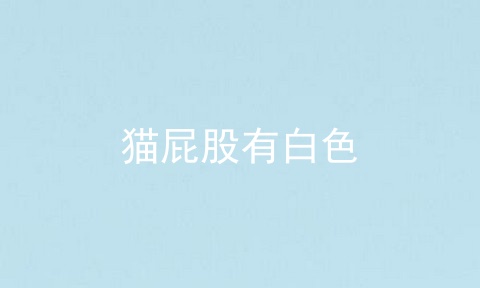 猫屁股有白色