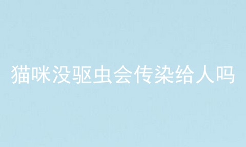 猫咪没驱虫会传染给人吗