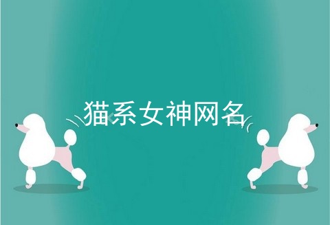 猫系女神网名