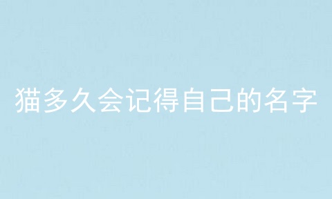 猫多久会记得自己的名字