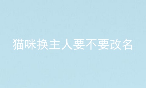 猫咪换主人要不要改名