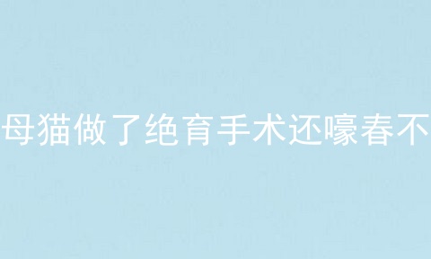母猫做了绝育手术还嚎春不
