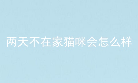 两天不在家猫咪会怎么样