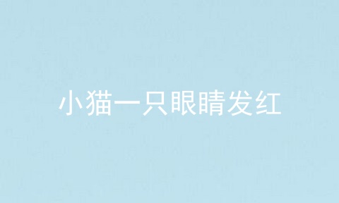 小猫一只眼睛发红