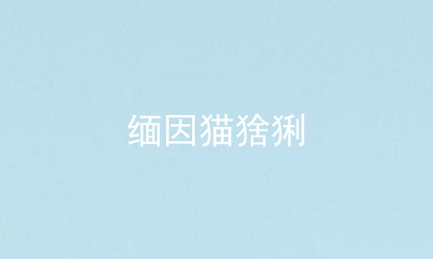 缅因猫猞猁