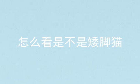 怎么看是不是矮脚猫