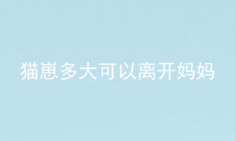 猫崽多大可以离开妈妈