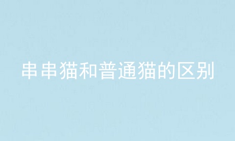 串串猫和普通猫的区别