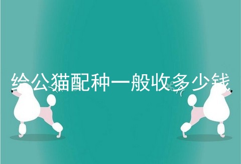给公猫配种一般收多少钱