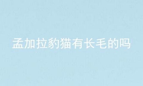 孟加拉豹猫有长毛的吗