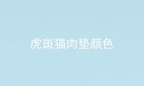 虎斑猫肉垫颜色
