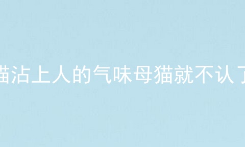 小猫沾上人的气味母猫就不认了吗