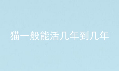猫一般能活几年到几年