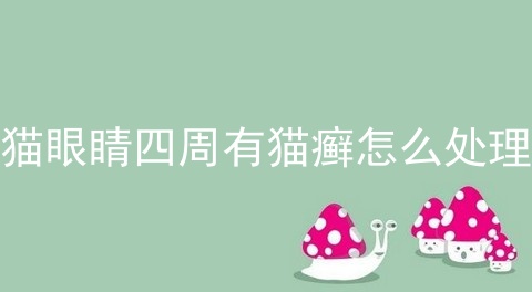 猫眼睛四周有猫癣怎么处理