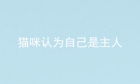猫咪认为自己是主人