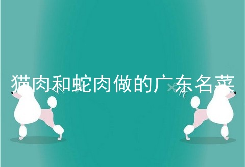 猫肉和蛇肉做的广东名菜