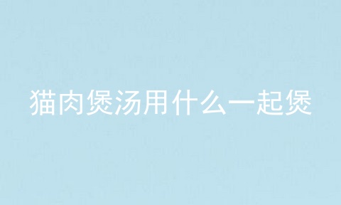 猫肉煲汤用什么一起煲