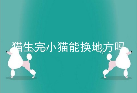 猫生完小猫能换地方吗