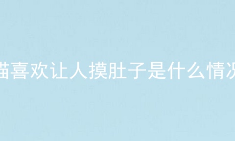 猫喜欢让人摸肚子是什么情况