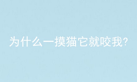 为什么一摸猫它就咬我?